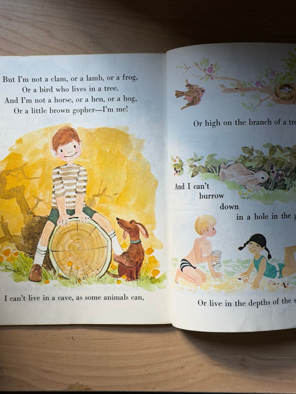 My Home by Renee Bartkowski —Little Golden Books, 1979
