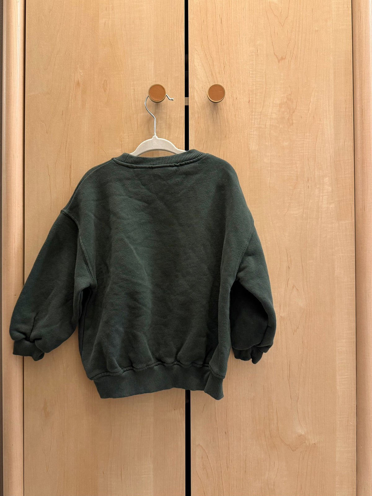 Zara Green Crewneck Sweater with Fuzzy Polar Bear Detail — 2T (fits like 3T)