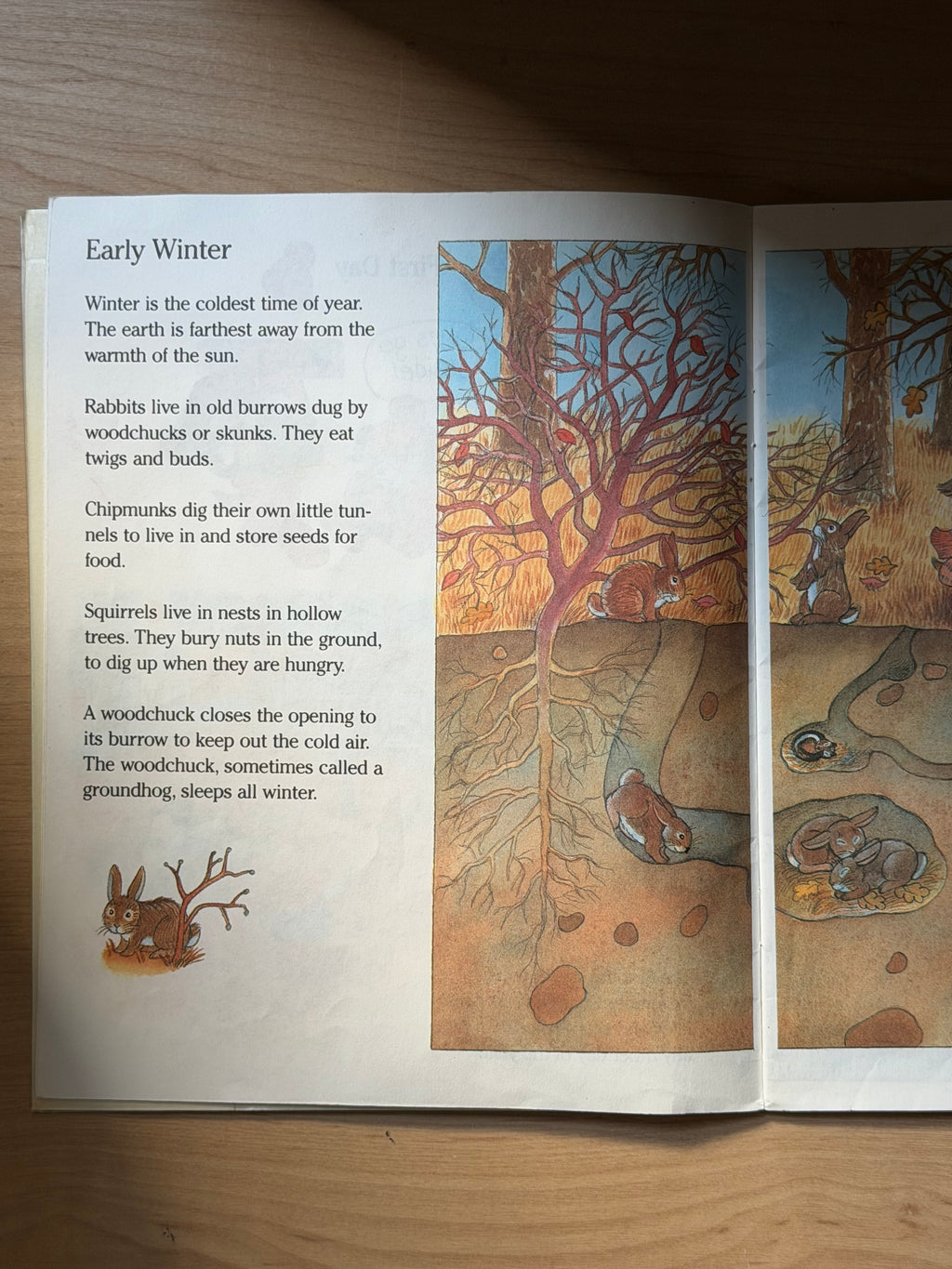 Let’s Look at the Seasons: Wintertime by Ann Schweniger — Scholastic Books, 1990