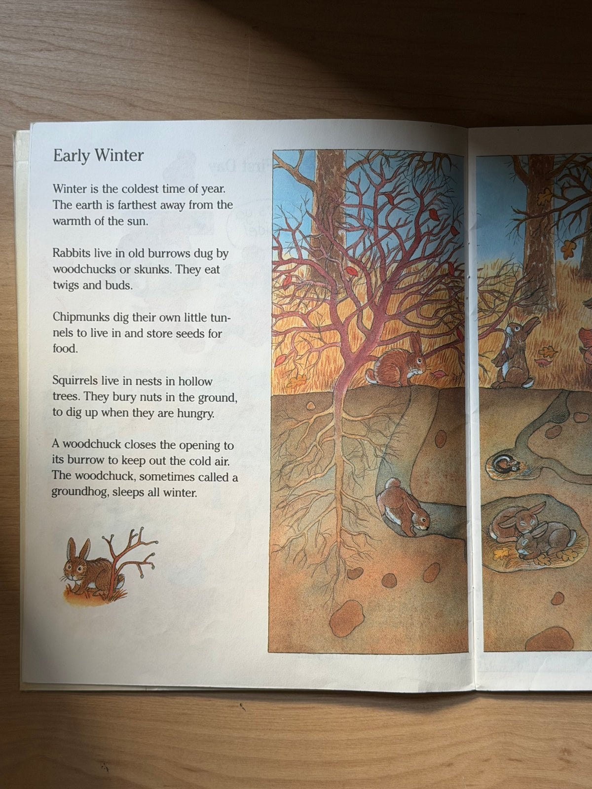 Let’s Look at the Seasons: Wintertime by Ann Schweniger — Scholastic Books, 1990