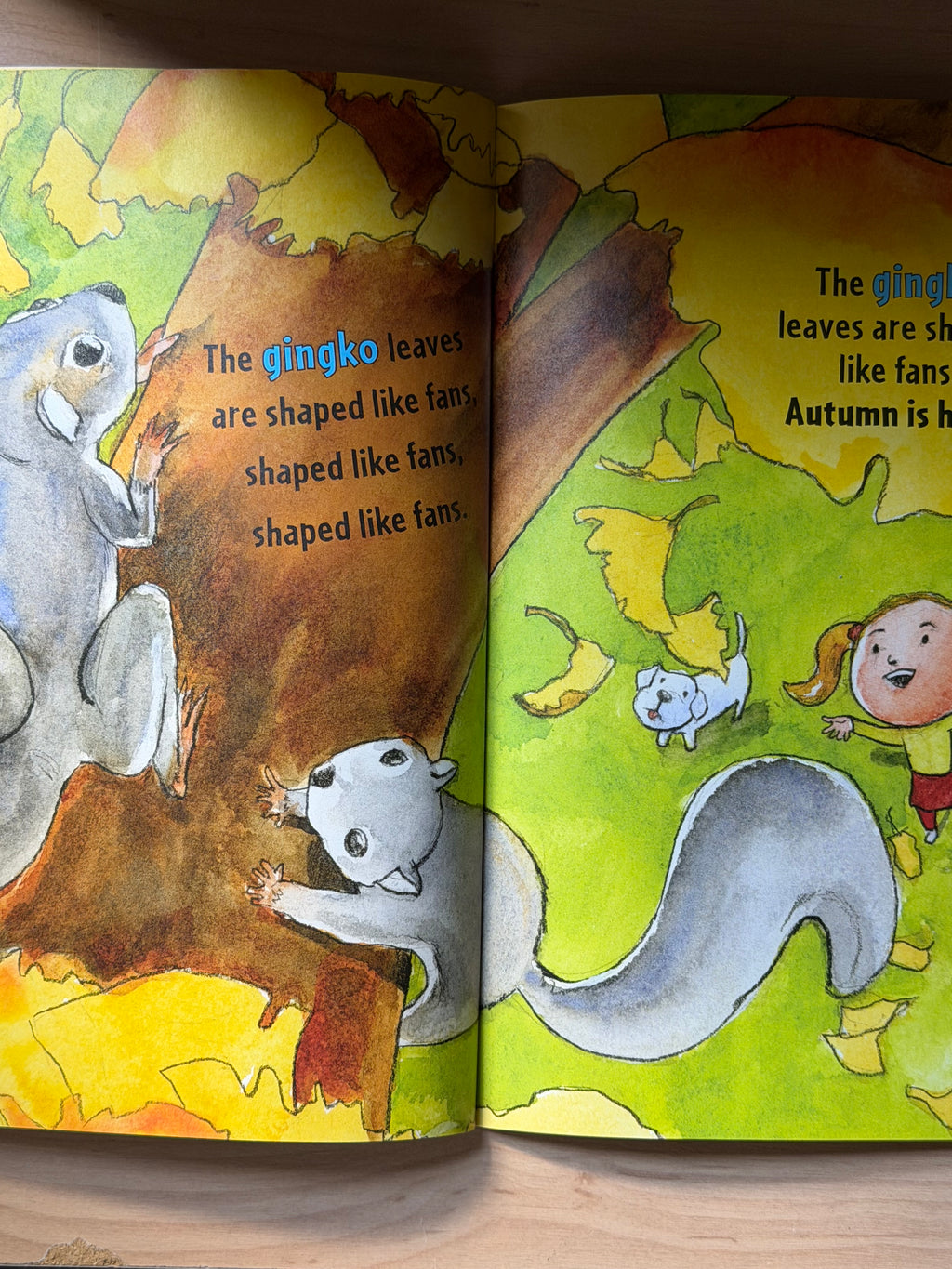 The Leaves on the Trees by Thom Wiley — Scholastic Books, 2011