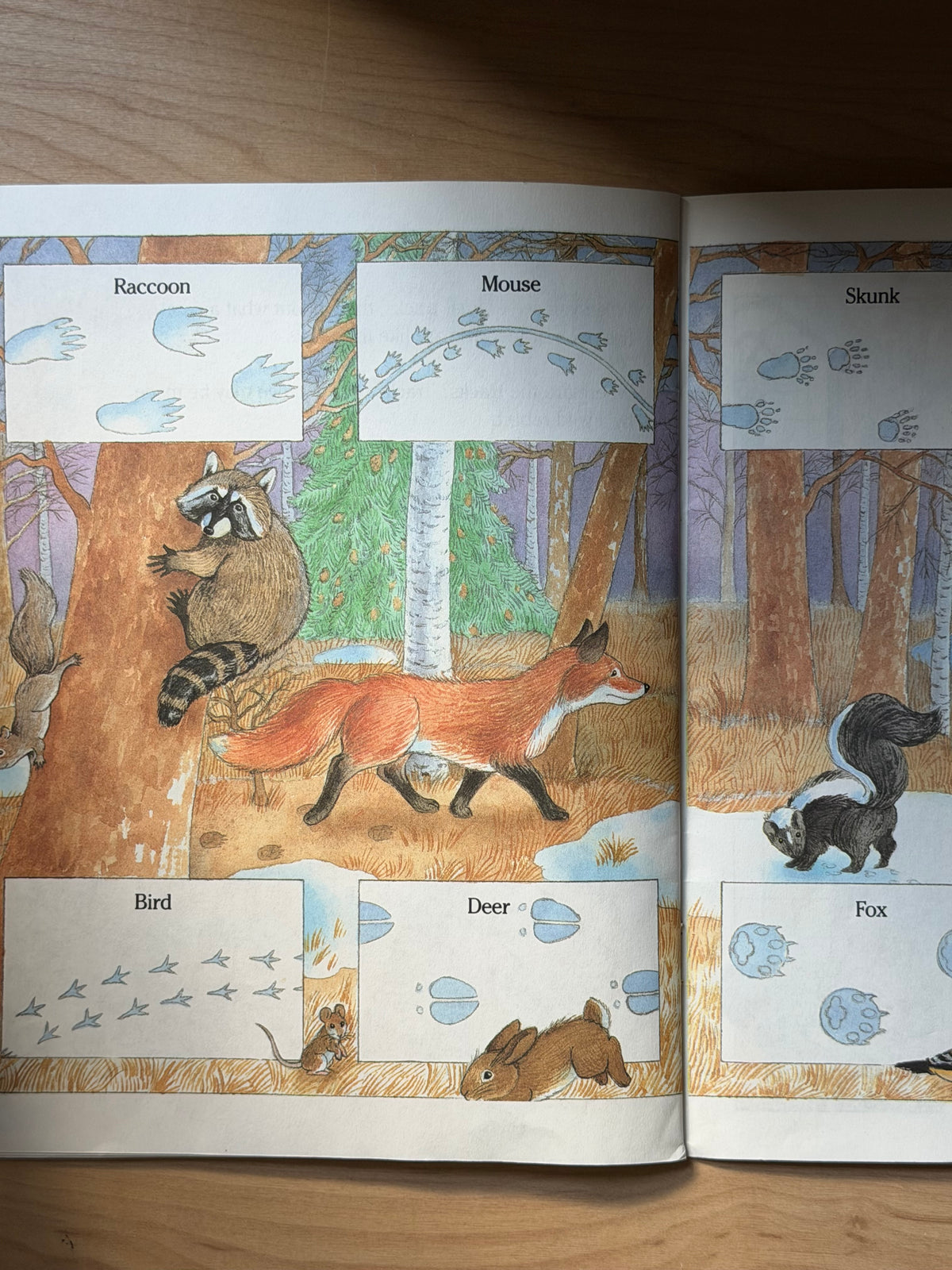 Let’s Look at the Seasons: Wintertime by Ann Schweniger — Scholastic Books, 1990
