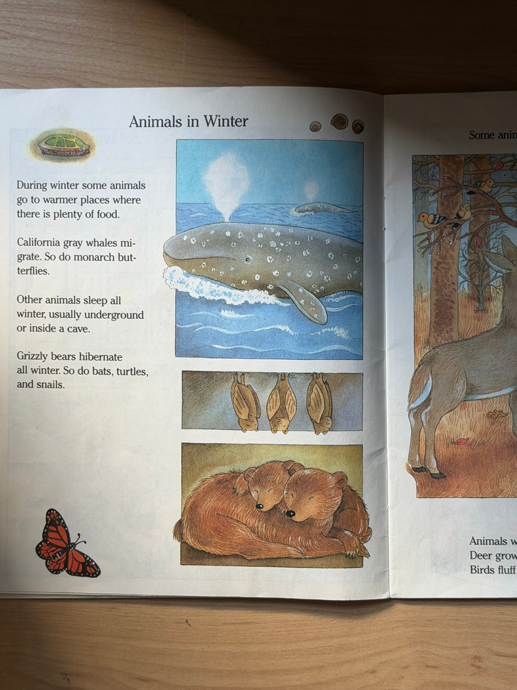 Let’s Look at the Seasons: Wintertime by Ann Schweniger — Scholastic Books, 1990