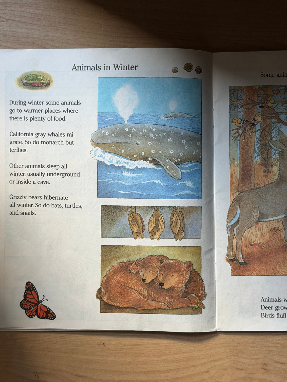Let’s Look at the Seasons: Wintertime by Ann Schweniger — Scholastic Books, 1990