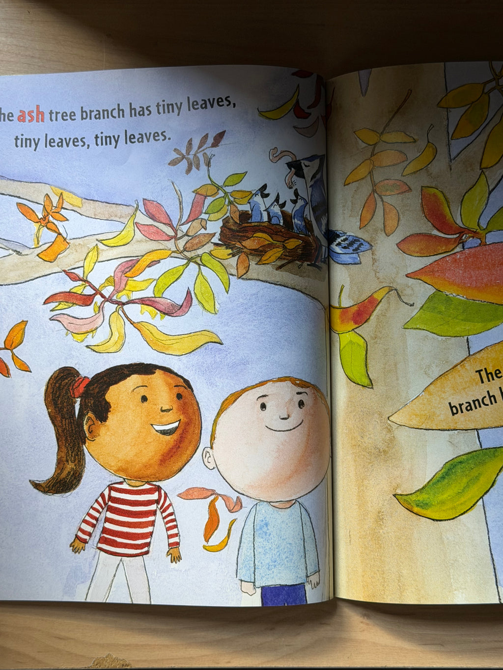 The Leaves on the Trees by Thom Wiley — Scholastic Books, 2011