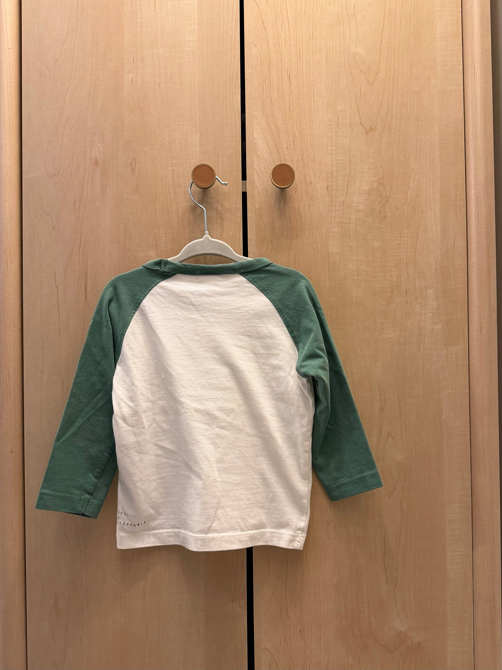 Zara Raglan Long Sleeve Green & White Tee — 2T